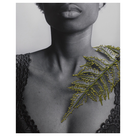 Julianne Dragunat inkjet print artwork Human Nature