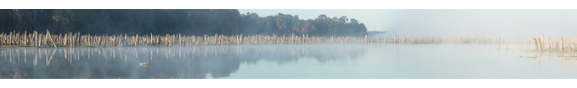 view of a foggy lake