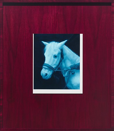 Portrait of Bhaya in the lower left quadrant on the southwest wall of Saturday's bedroom by Andrew Sendor